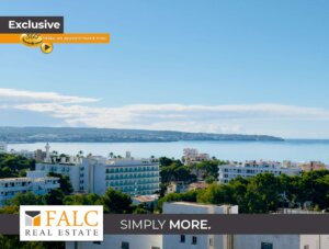 Apartment mit Blick & Potenzial